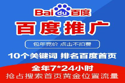 行业报告：专业SEM托管的成功实践与挑战